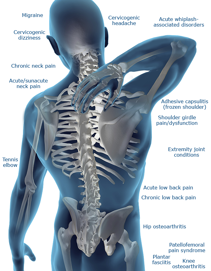 Chiropractor in Erdington? We Offer a Better Alternative Chiropractor in Erdington? We Offer a Better Alternative